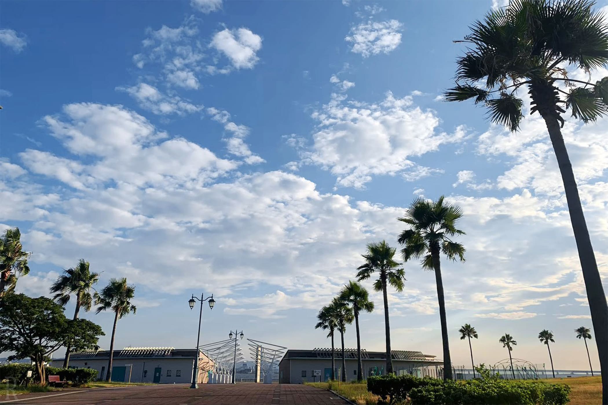 二色の浜オートキャンプ場 アッパーBBQガーデン 風景