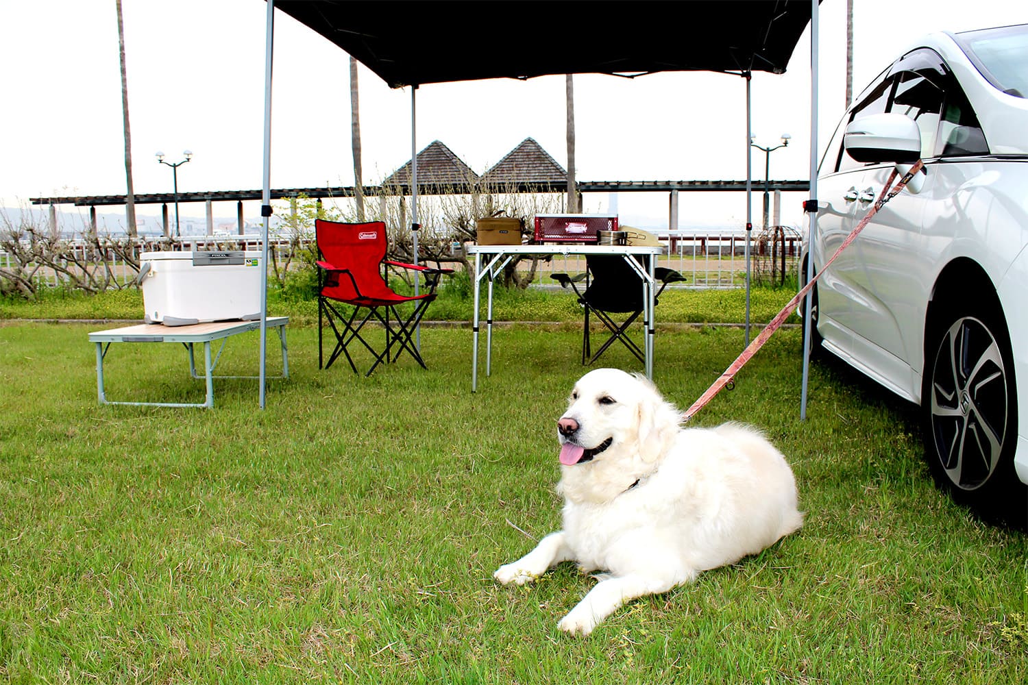 愛犬家に嬉しい 全サイトでペット同伴が可能