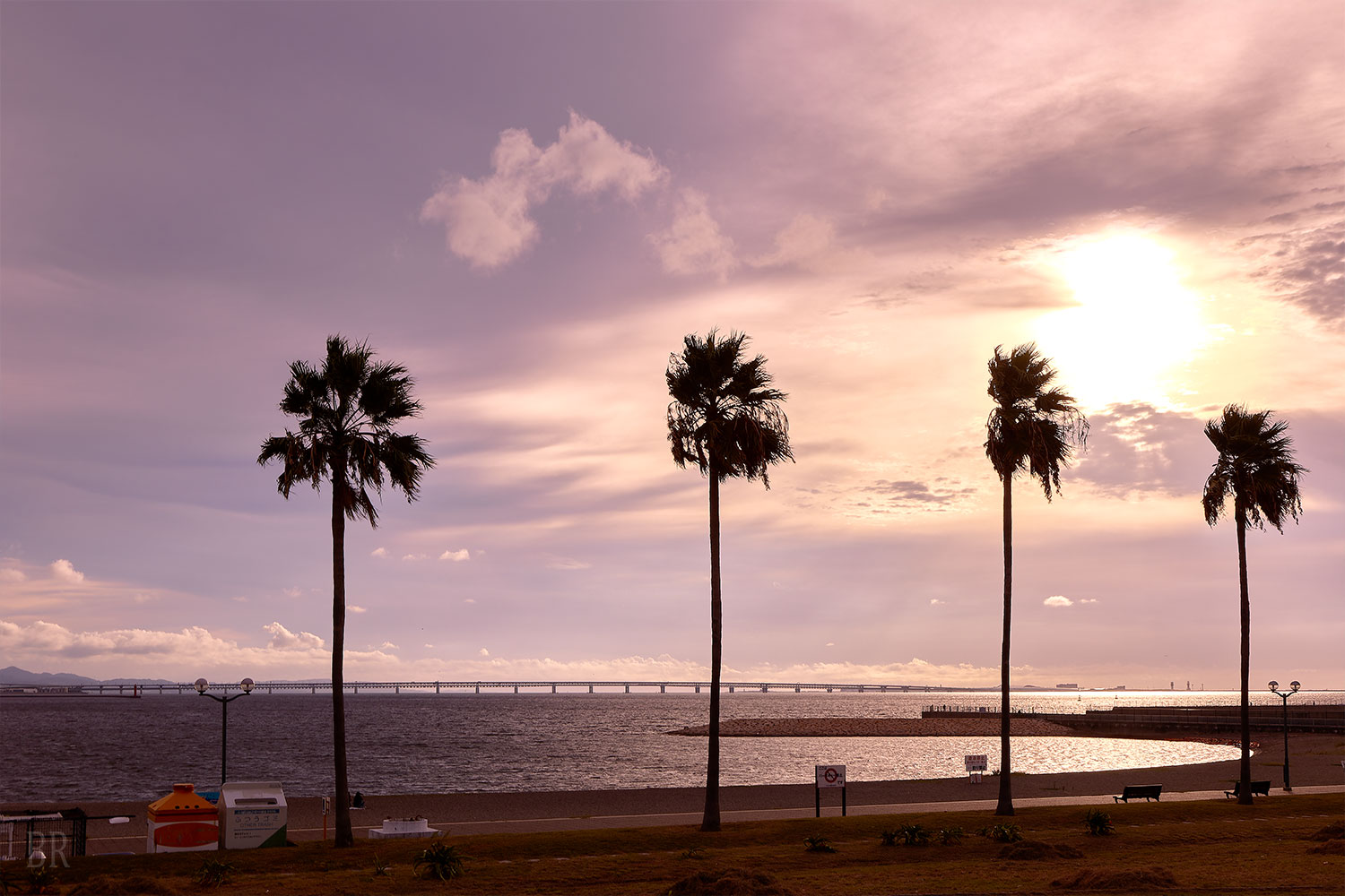 愛犬家に嬉しい 全サイトでペット同伴が可能