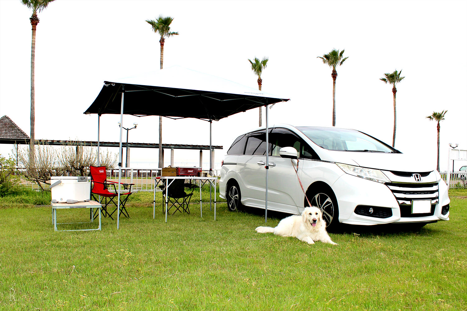 愛犬家に嬉しい 全サイトでペット同伴が可能